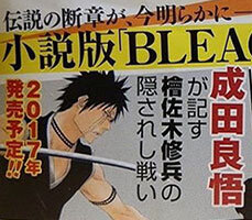 2 yeni bleach roman 2017