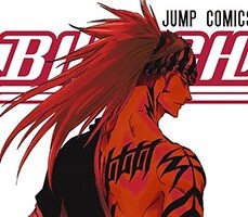bleach mangasi final