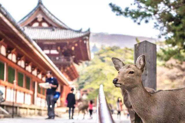 Japonya'nın En Güzel 10 Kasabası