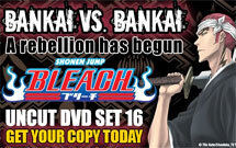 bleach uncut dvd