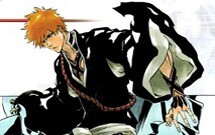 bleach-ozel-program