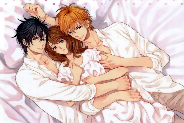 En İyi Reverse Harem Animeler En İyi Reverse Harem Animeler