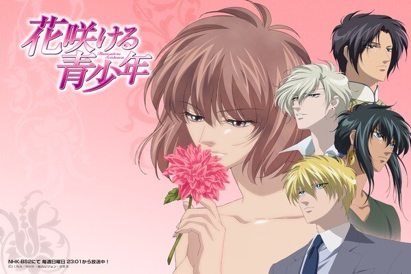 reverse harem anime önerisi reverse harem anime önerisi