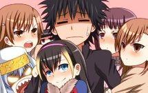 Harem-Poll