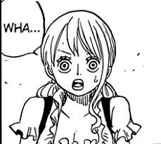 One Piece 835