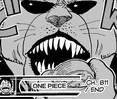 One Piece 811