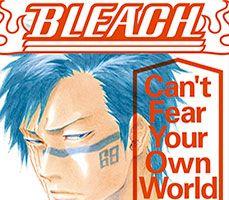 bleach cant fear your own world 1. bölüm oku