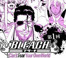bleach cant fear your own world tite kubo çizimleri
