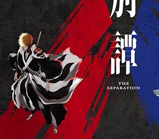 bleach the separation izle