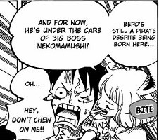 one piece 806