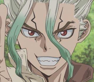 Dr. Stone