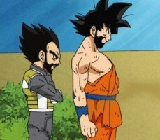 dragon ball sakal