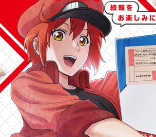 Hataraku Saibou 2. Sezon Geliyor.