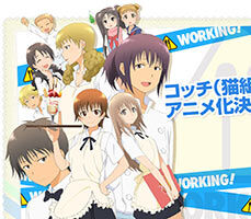 WWW. Working!!